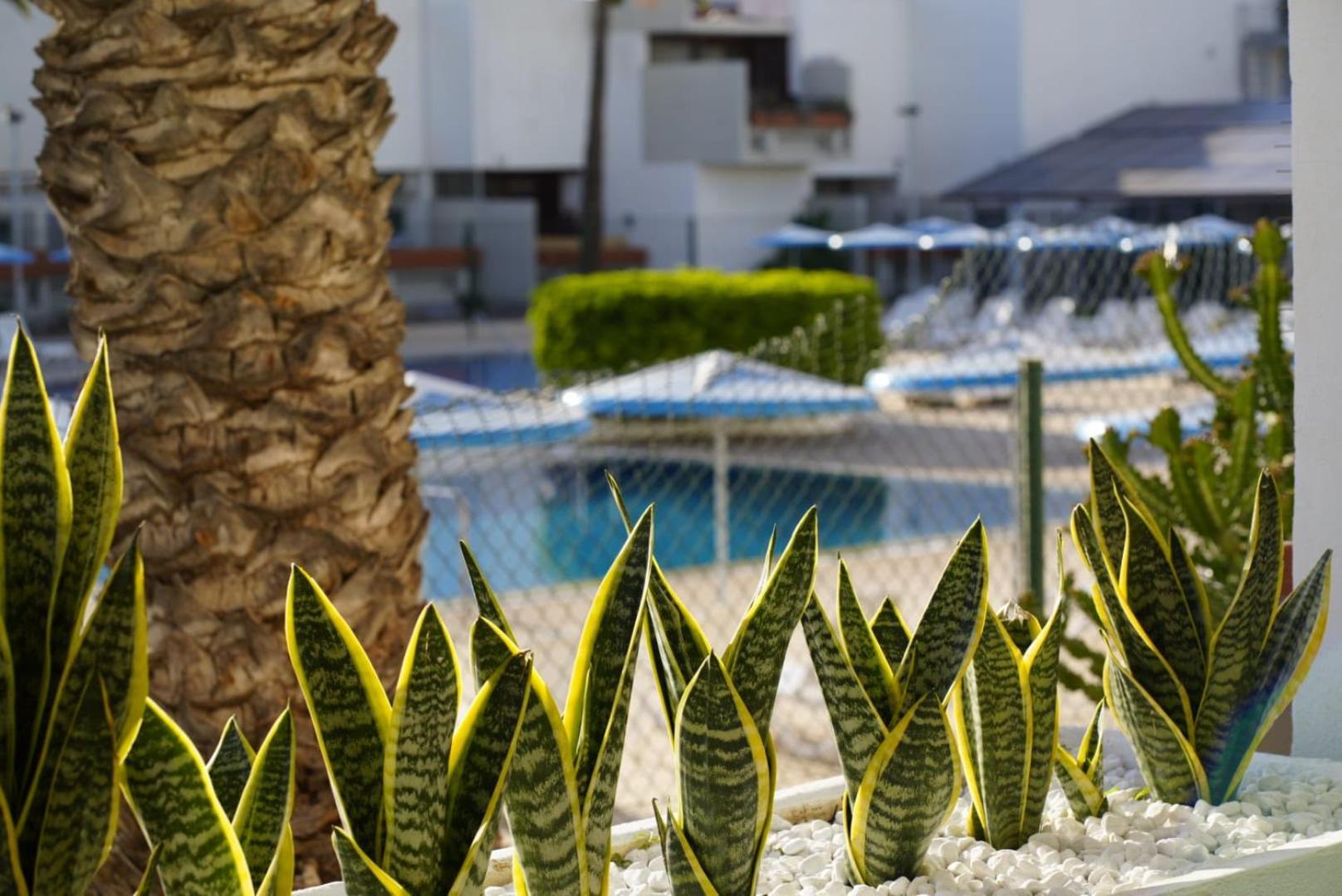 Apartment Moderno Estudio Con Piscina En Arona - Ideal Parejas *